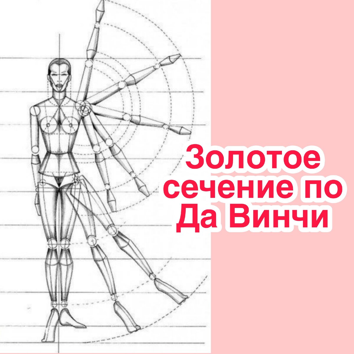 Итак, теперь к техникам определения гармоничной фигуры.