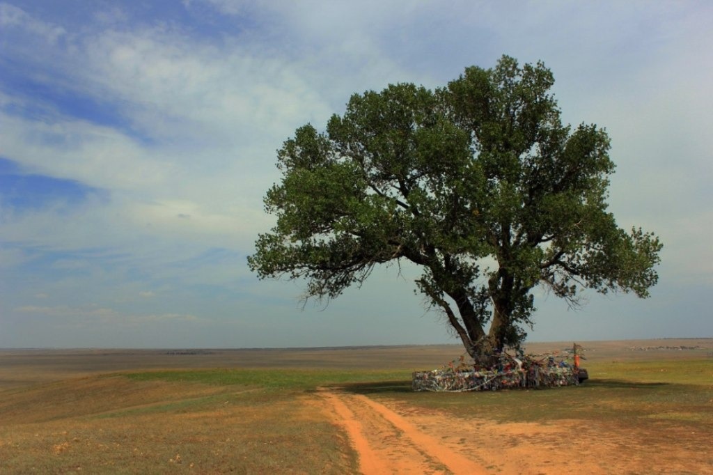 Вот оно, это чудо чудесное