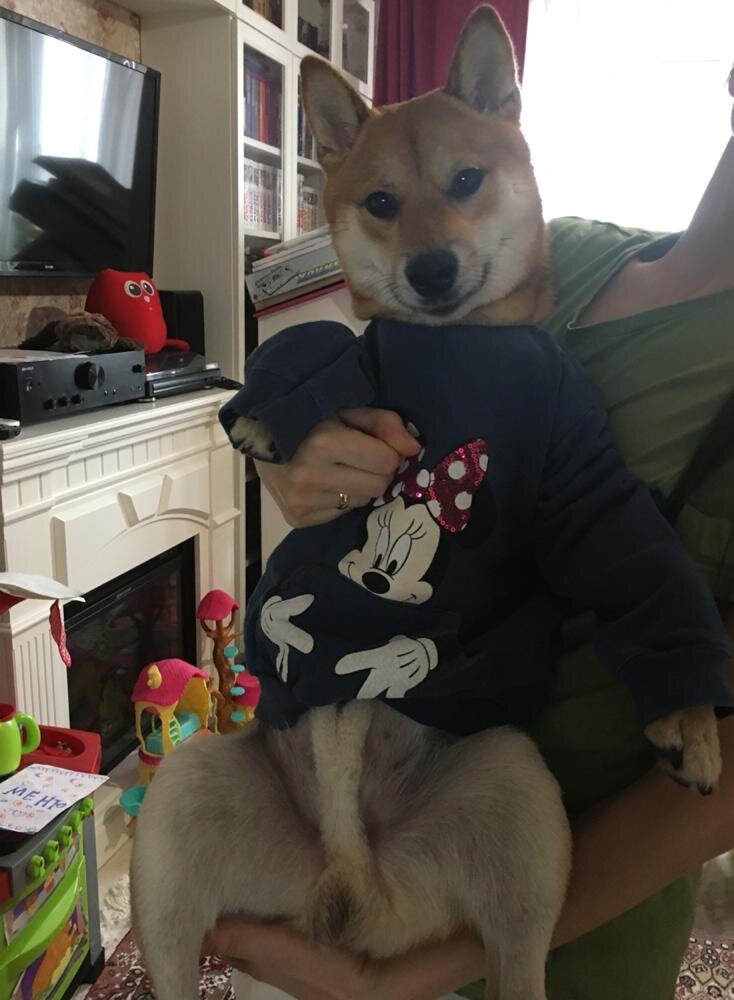 По-моему, Тимо необычайно мил в старой дочкиной кофте