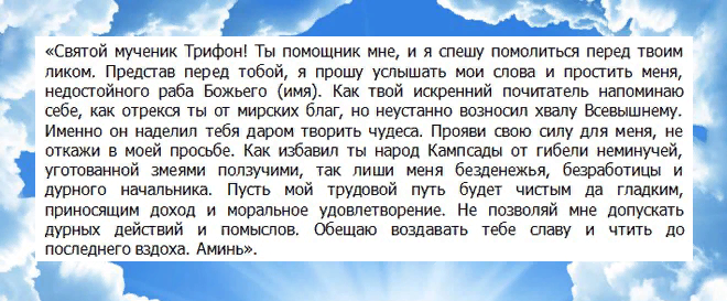 Молитва св трифонов. Молитва св Трифону. Молитва мученику Трифону о помощи в работе. Молитва Трифону о работе. Молитва святому Трифону о работе.