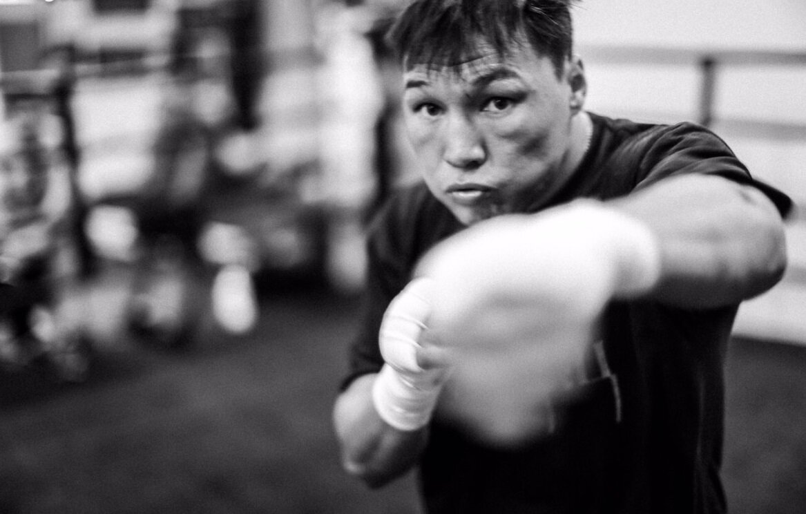 Проводников Matthysse