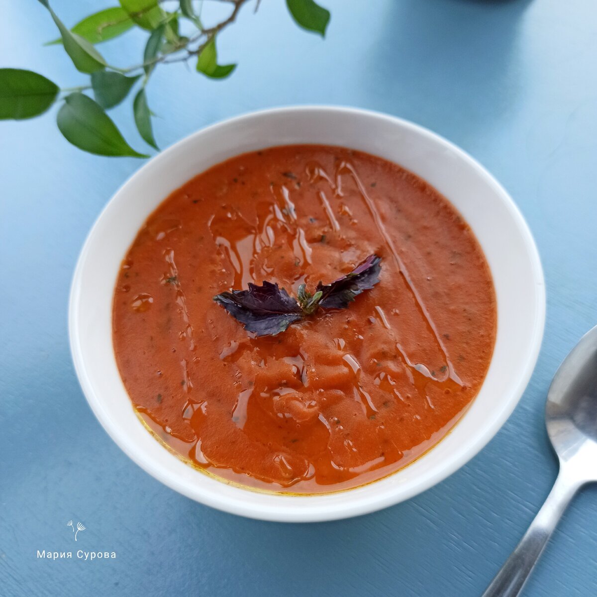 Томатный суп: рецепт приготовления