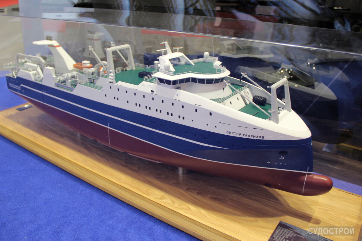 Модель большого морозильного траулера "Виктор Гаврилов" / Фото: Судострой