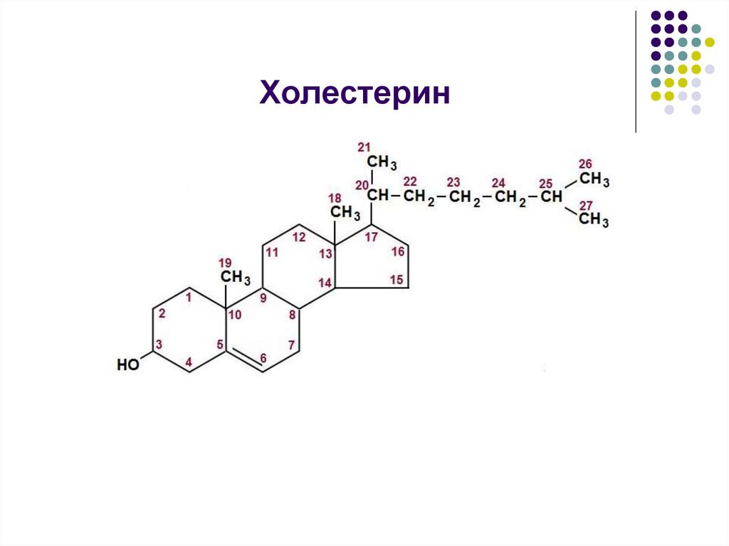 Холестерин презентация по химии