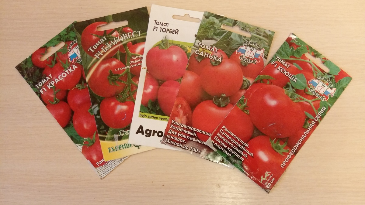 Надо провести ревизию семян томатов