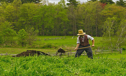 Навоз людям под нос