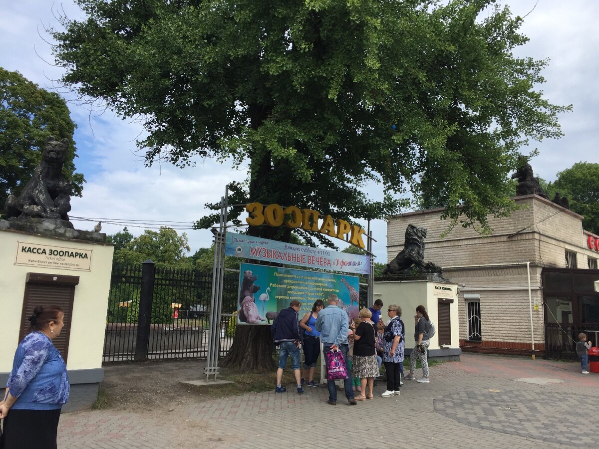 Прекрасный немецкий зоопарк в Калининграде, который стоит посетить 🐅🐊 Год  основания: 1896 | Движение в пространстве | Дзен