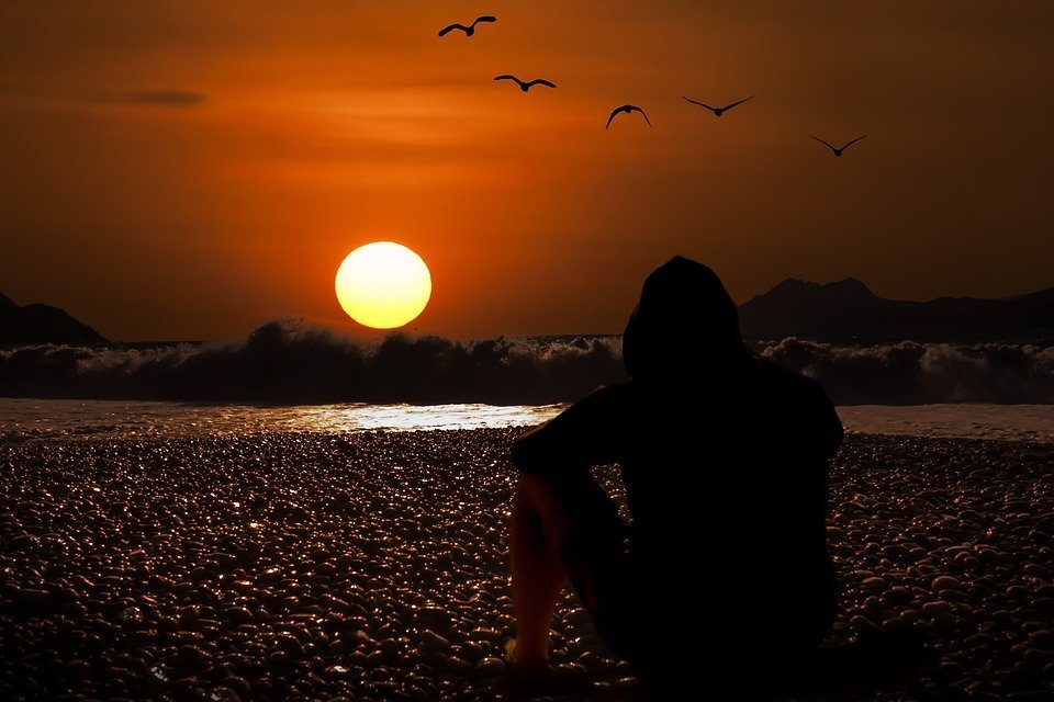 Фото взято с сайта https://pixabay.com/ru/ 