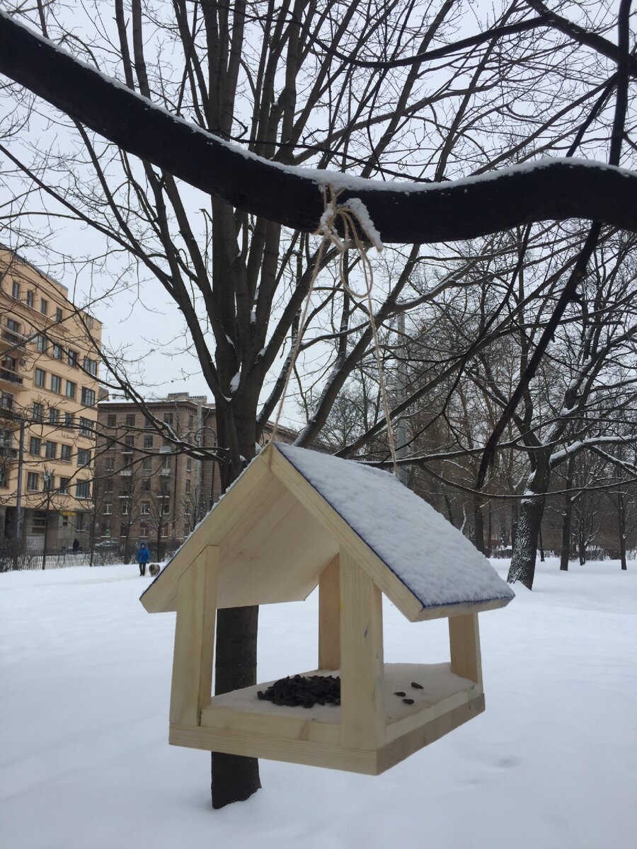 Кормушка для птиц в Александровском парке, СПб 