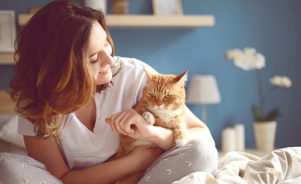 фото с просторов интернета