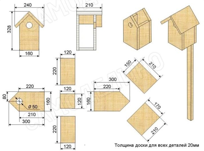 Фото из интернета.