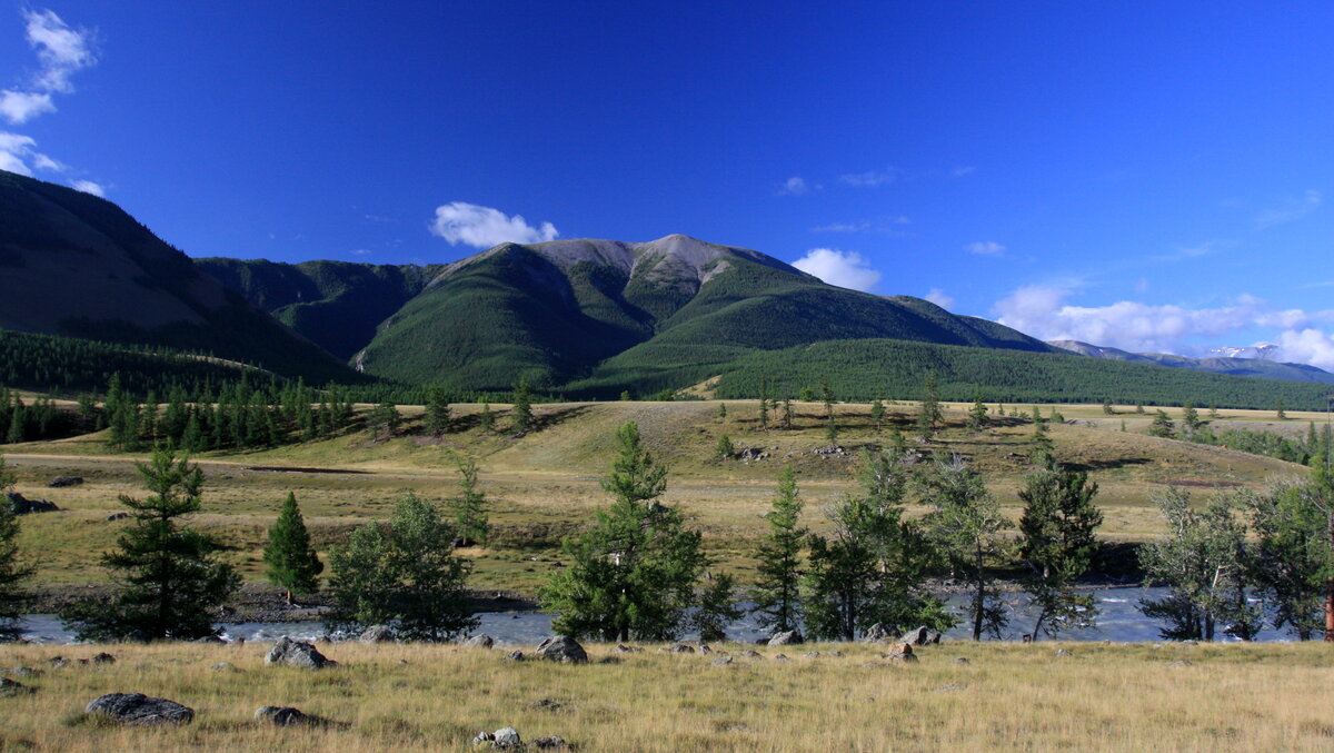 Красивое место в Курайской степи, где ничего не растёт