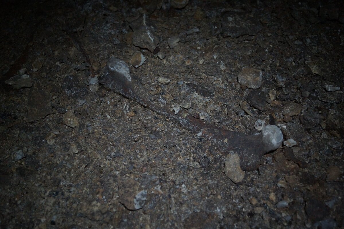 Кости медведя на дне пещеры