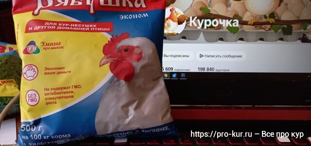 ЧТО ДОЛЖНО БЫТЬ В КУРЯТНИКЕ ДЛЯ КУР НЕСУШЕК ? Поилки, подстилка, гнезда - секреты птицеводства.