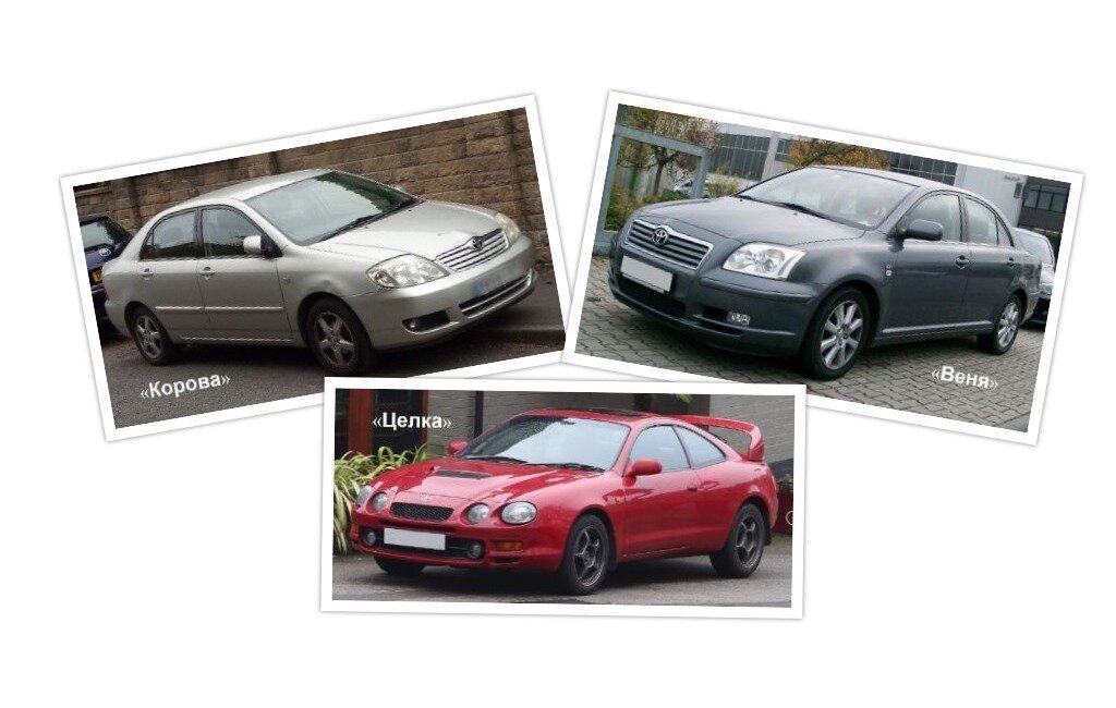 Коллаж на основе иллюстраций WikimediaCommons/лицензия CC BY-SA/авторы: DieselFordMondeo, Rudolf Stricker и Vauxford