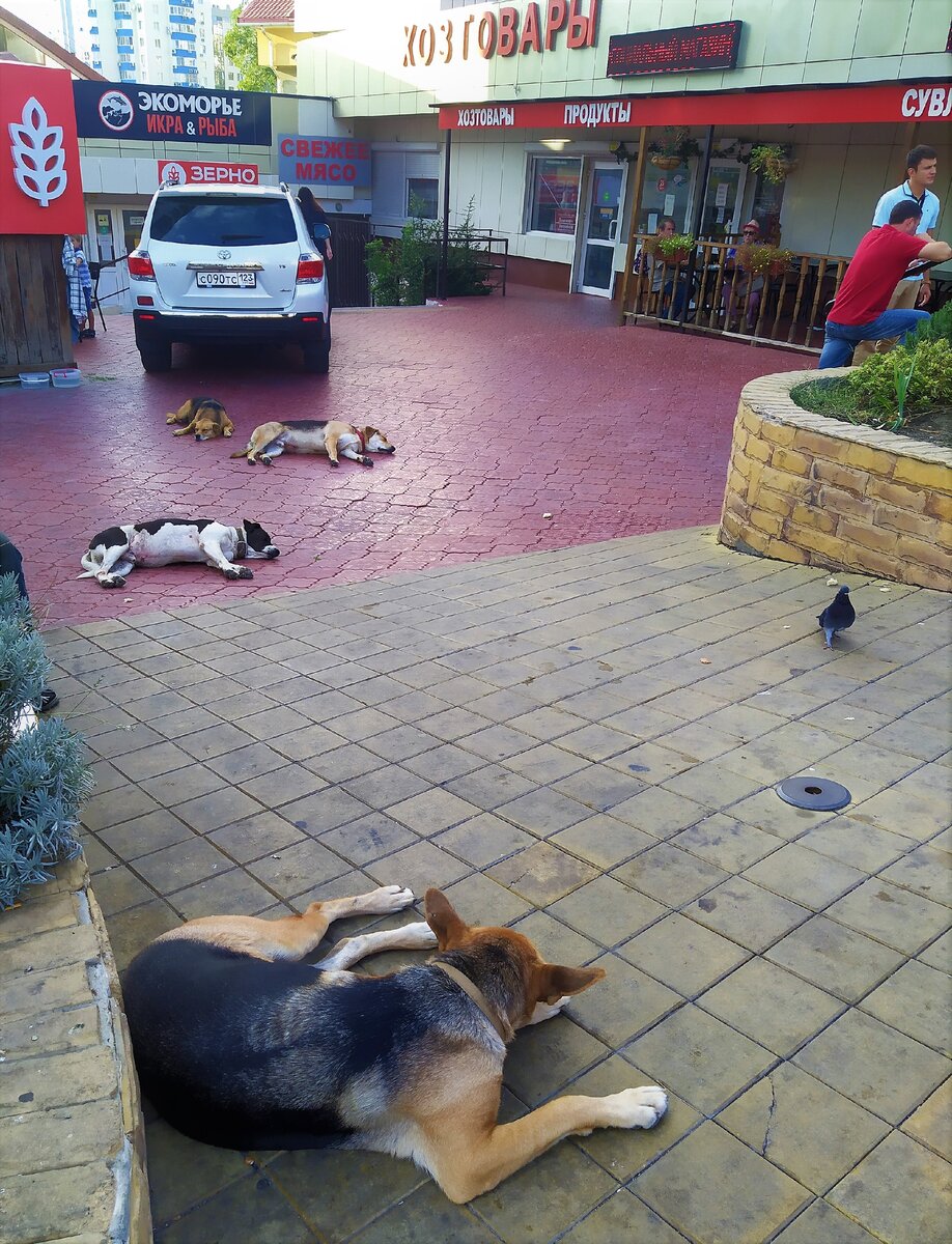 В Сочи - 20 год