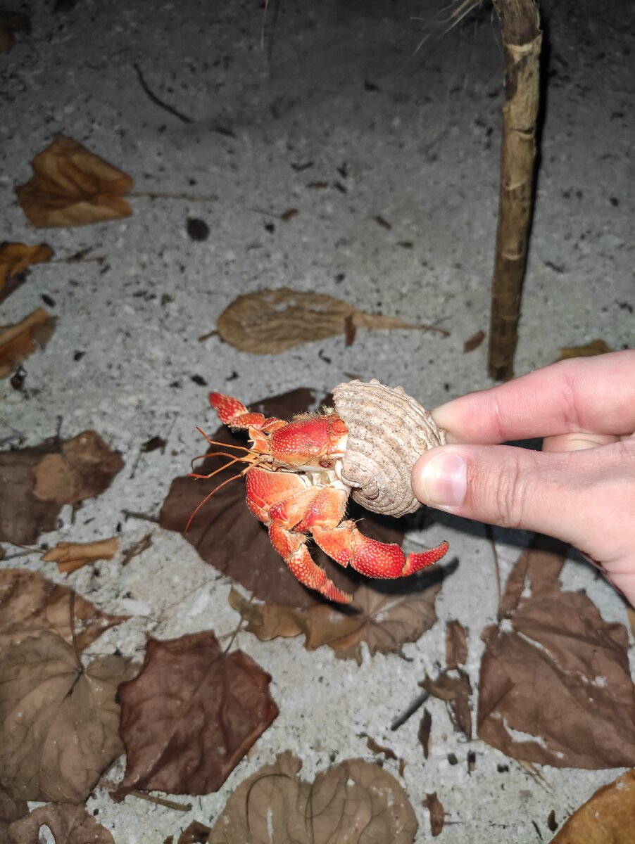 Самый большой, которого мы видели