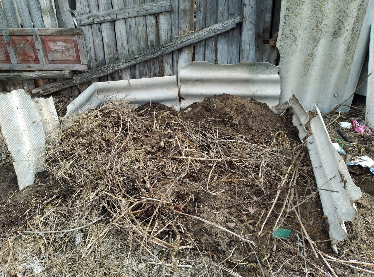 Несколько обломков шифера на первое время сойдет. Потом эту накрою, а рядом уже нормальную буду делать. 