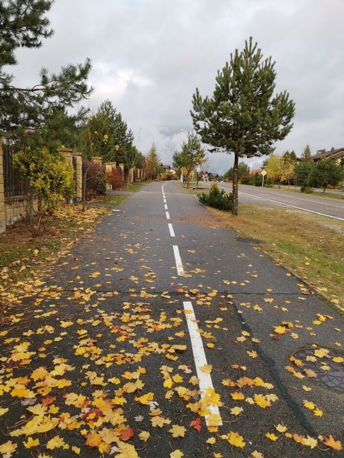 Открывает статью эта осенняя фотография. Ничего не обычного, обычные российские виды?