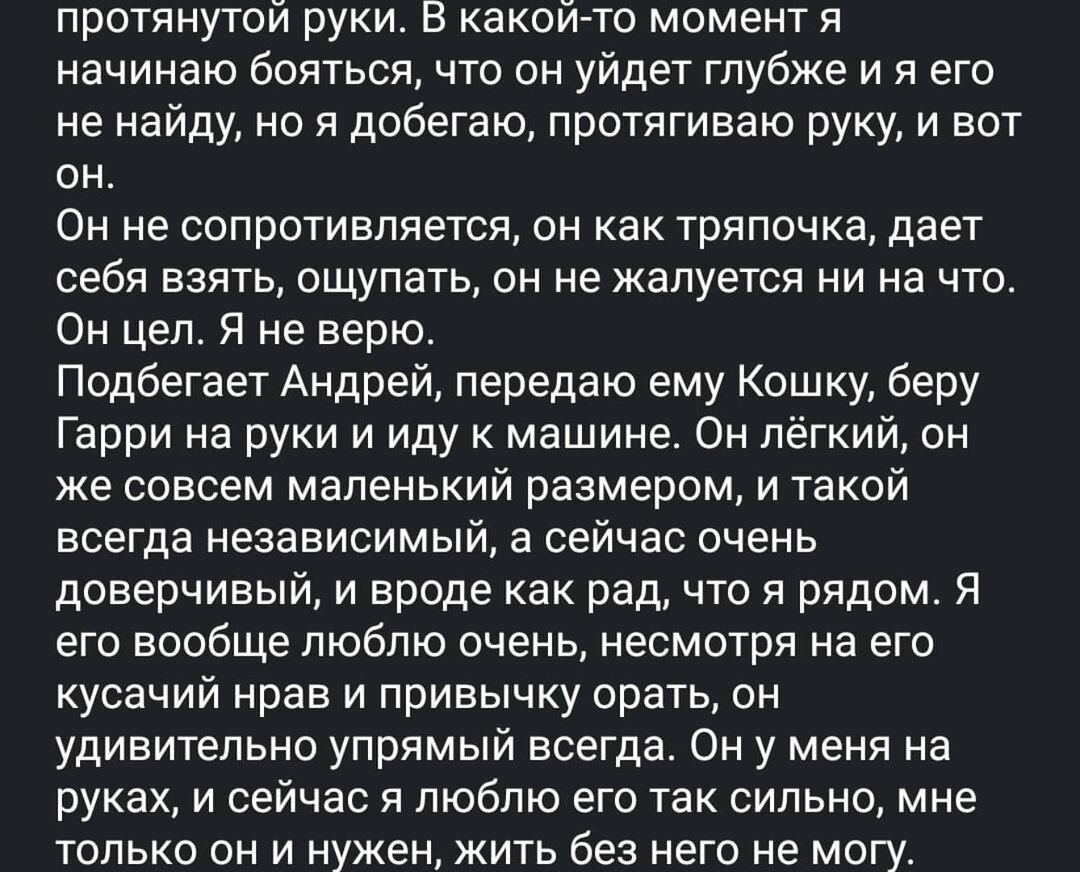 Продолжение в 🎠 ⏩⏩⏩