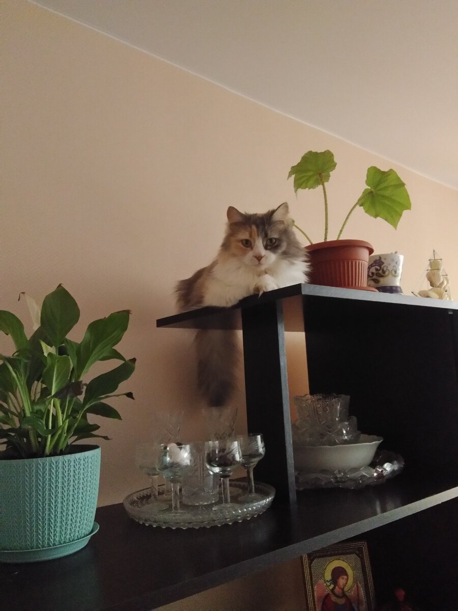 ,,Мне сверху видно всё, ты так и знай!,,