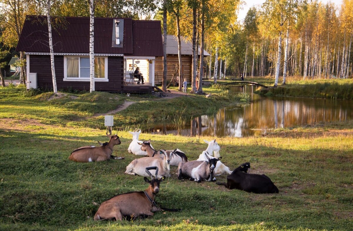 А ферма Экоотель