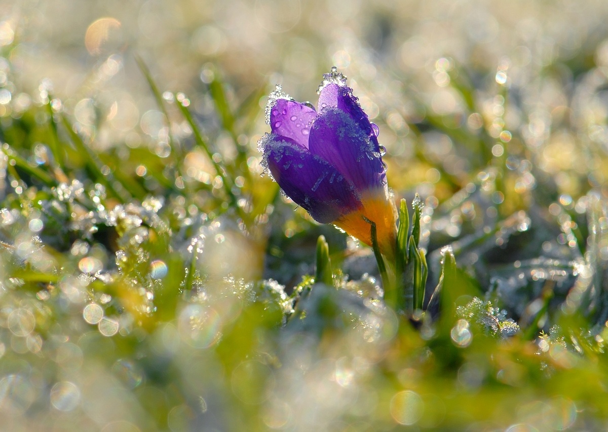 фото из открытого доступного источника сети интернет