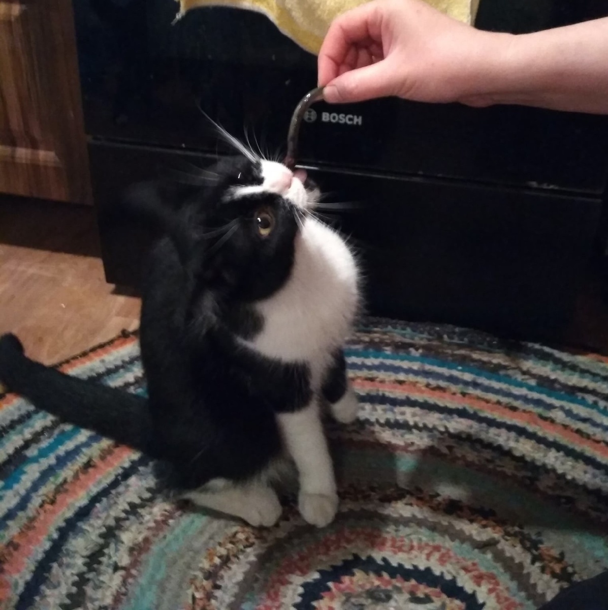 "Дай-ка кусну!"