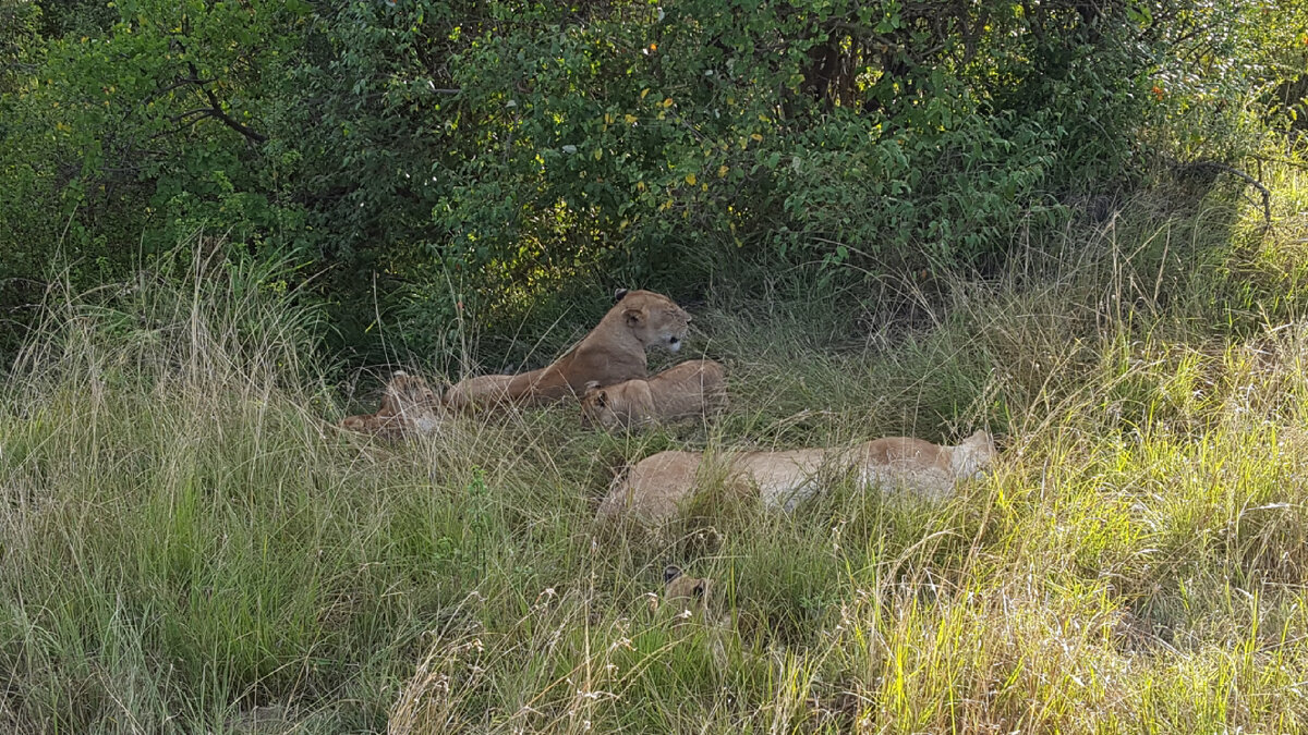 Фото из личного архива
