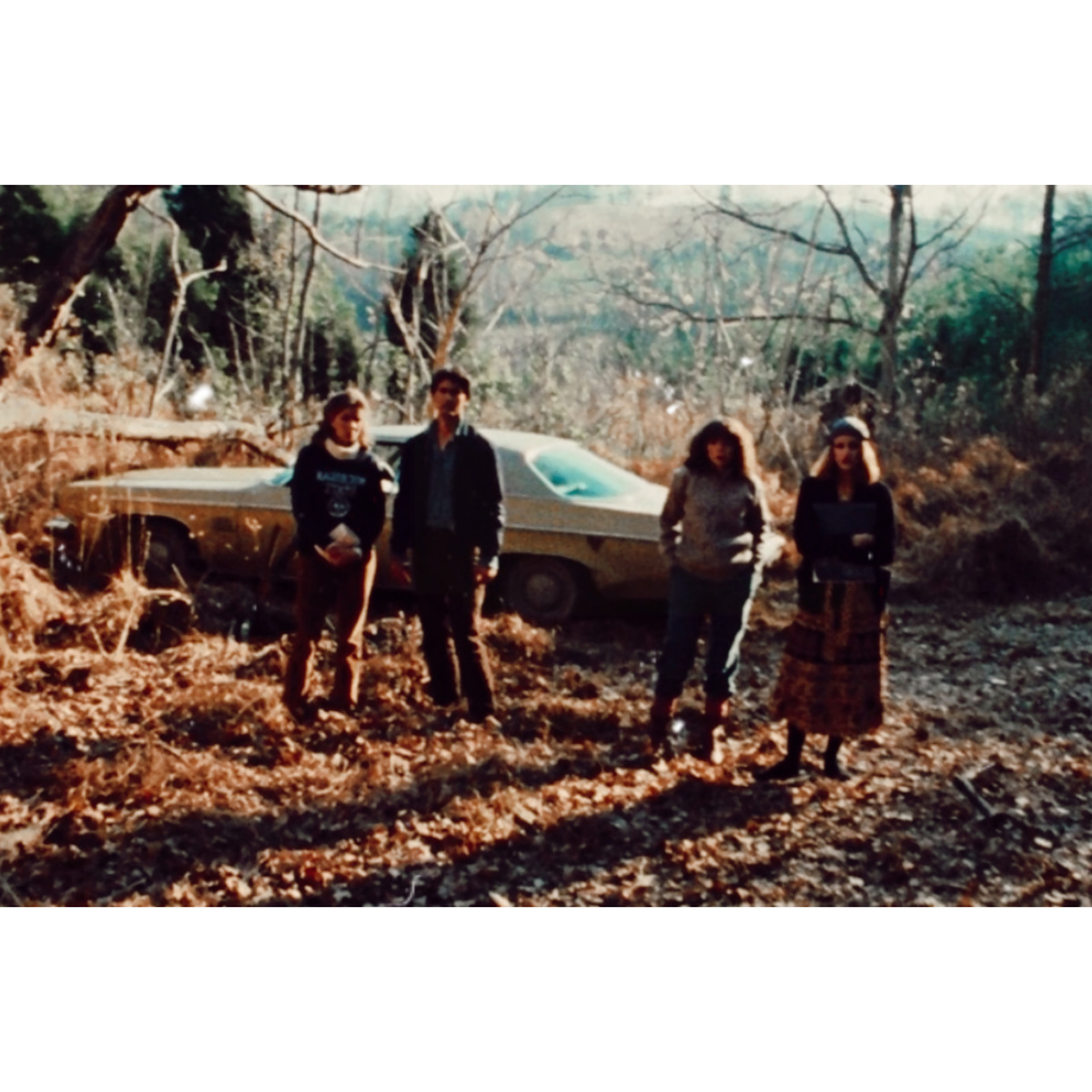 Лес, в котором находится загородный домик.