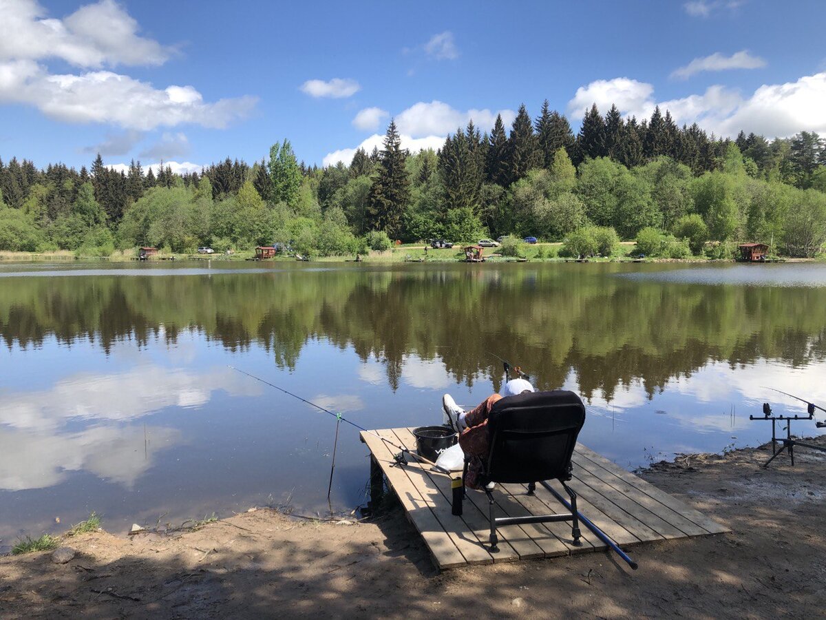 Что может быть лучше отдыха на природе...