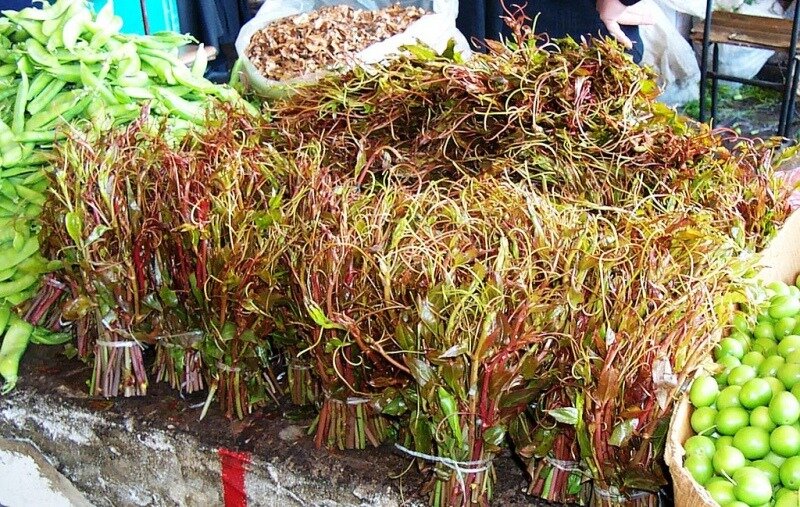 фото яндекс-картинки