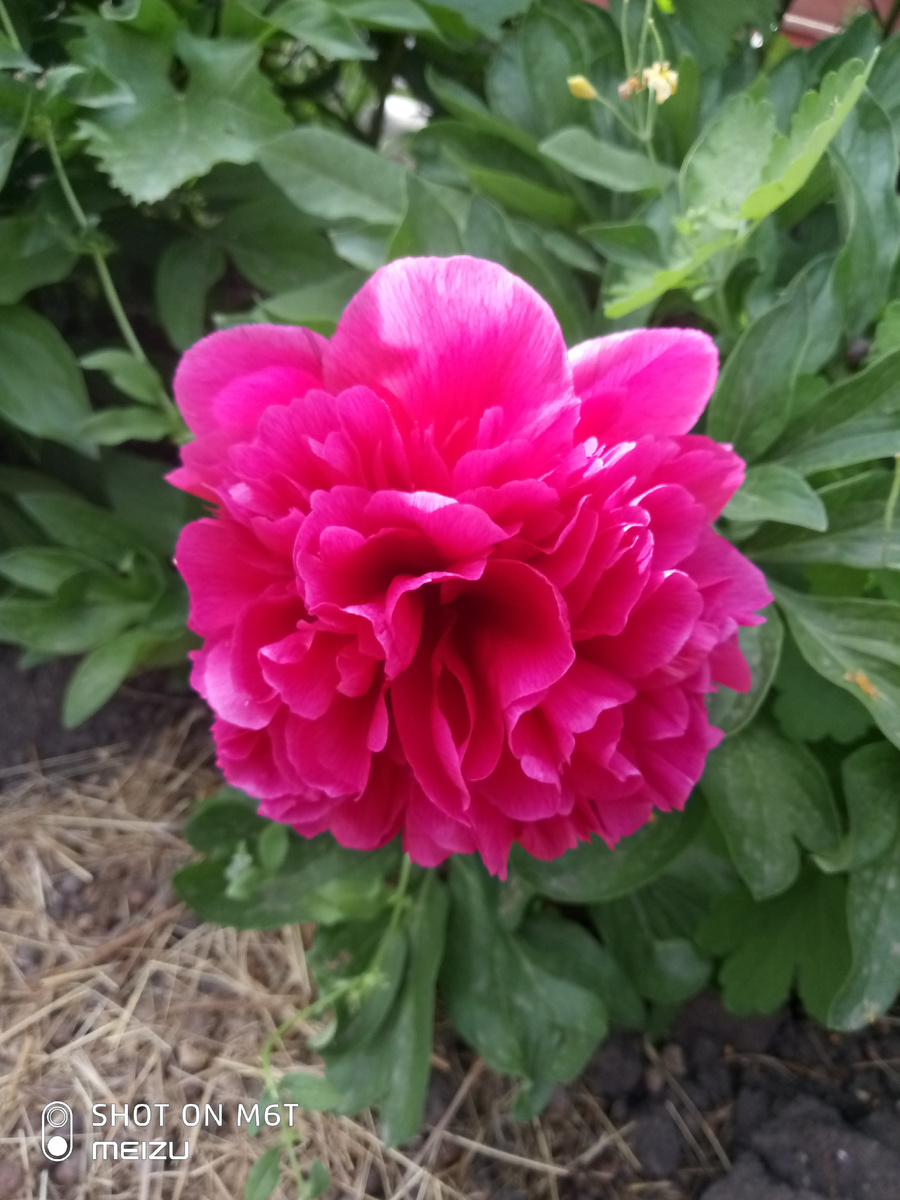 Личное фото автора.