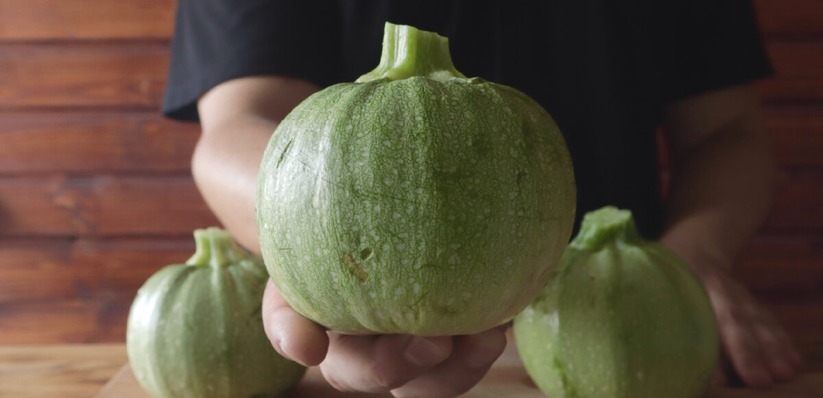 Кабачок шаровидного сорта