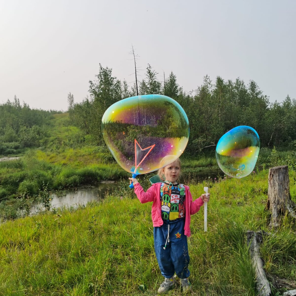 Любимая забава