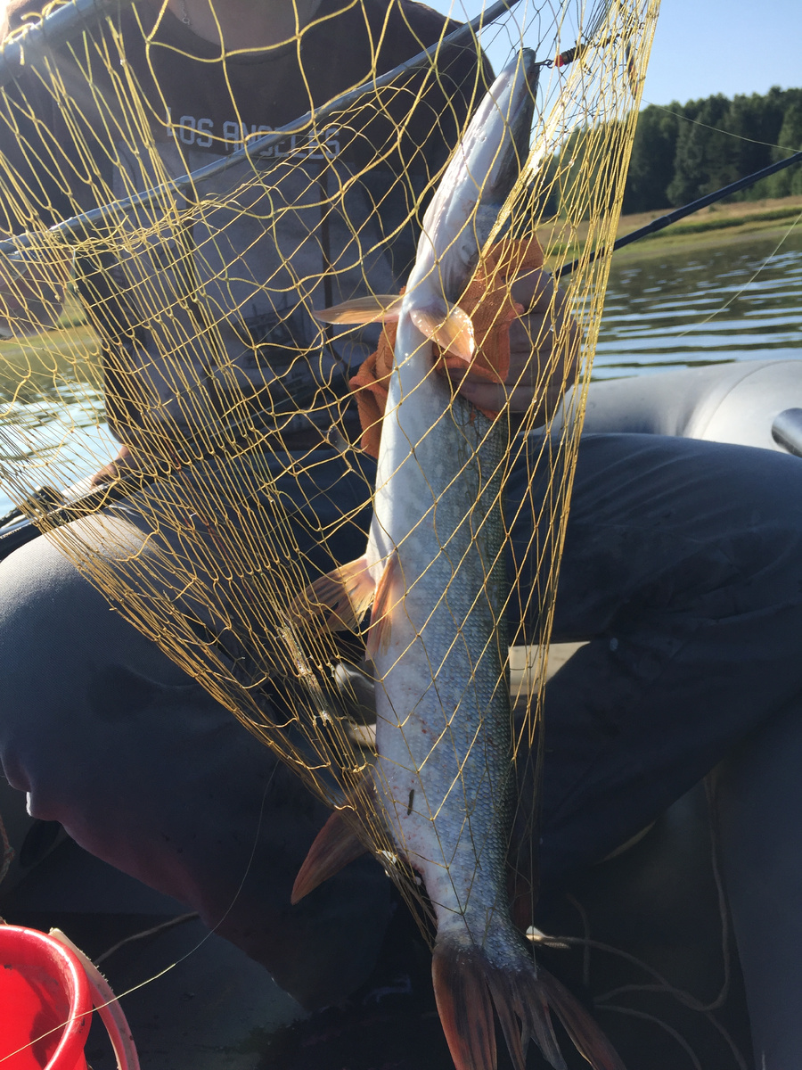 Мой первый трофей на этом пруд