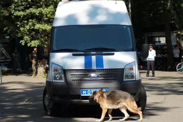 © Фото: Лусине ВАРДАНЯН