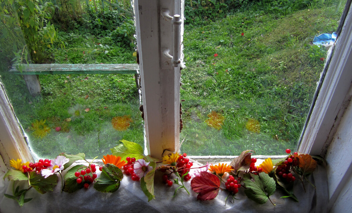 Мои окна на зиму украшены! Фото из личного архива автора.