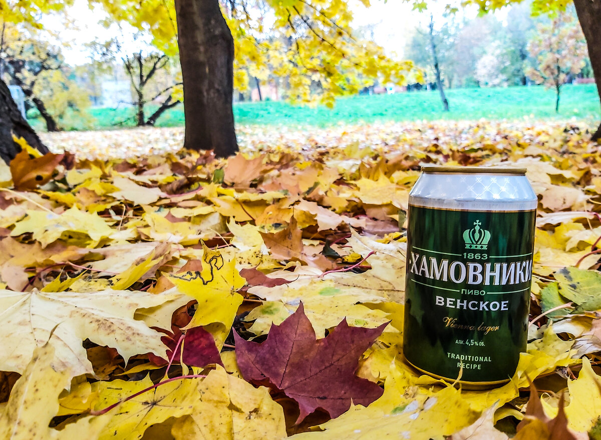 Хамовники Венское, фото автора