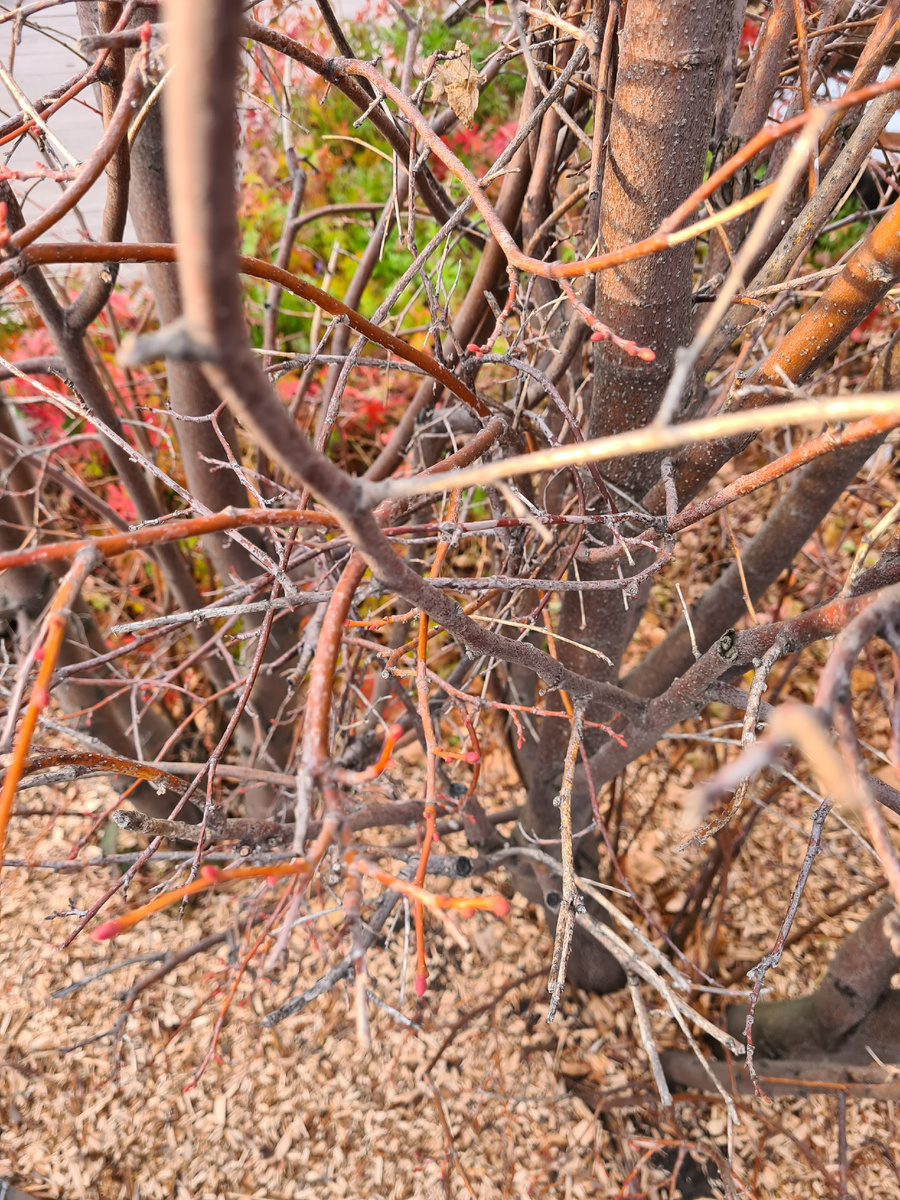 личное фото
