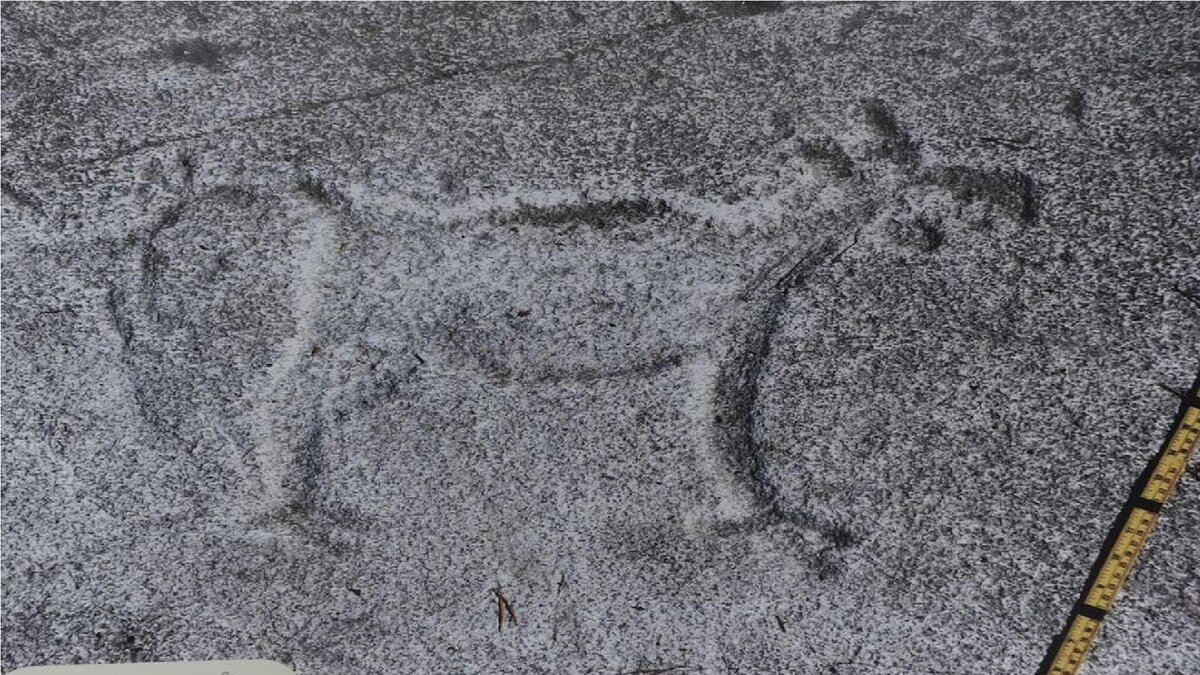 Петроглифы Канозера