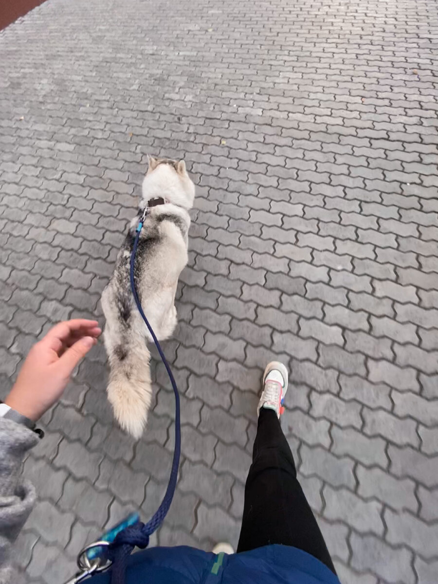 Идём в клинику 