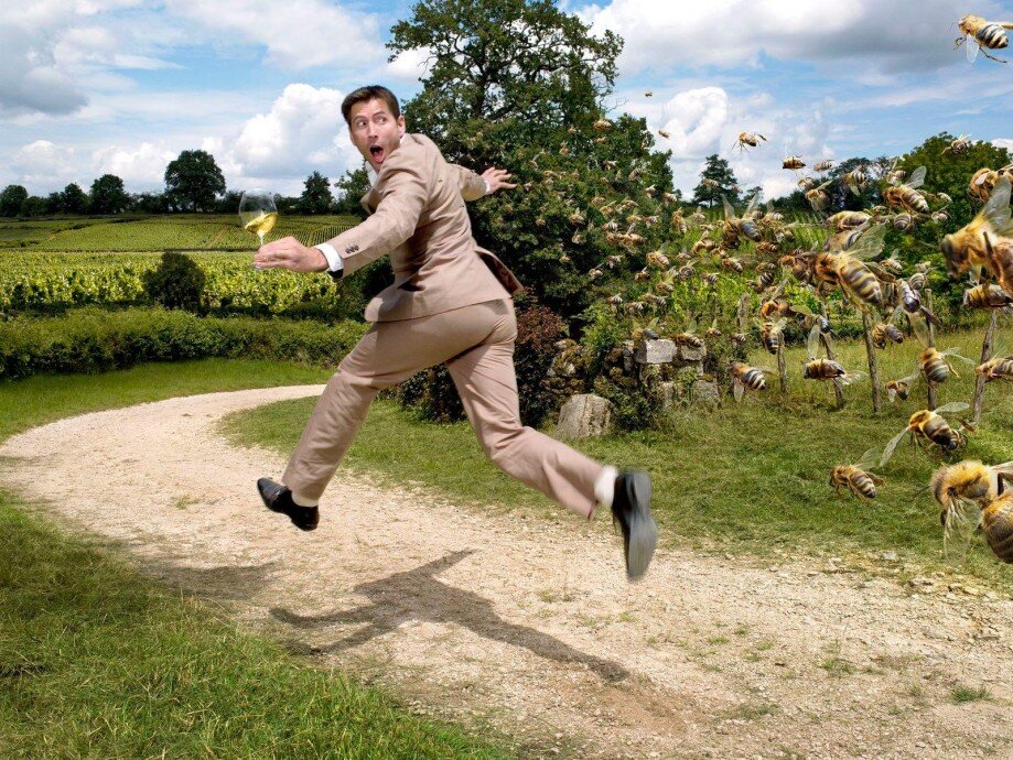 фото из интернета