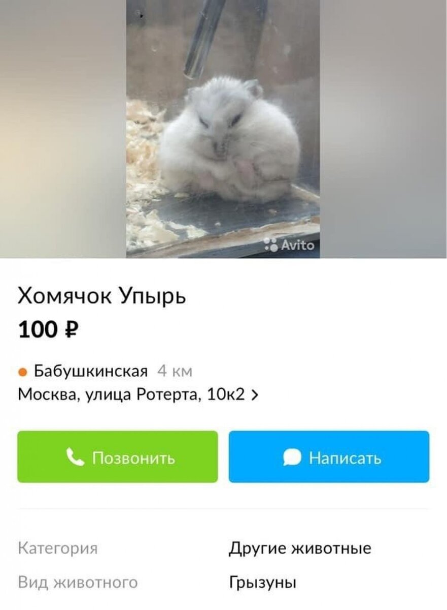 Смешные объявления о продаже