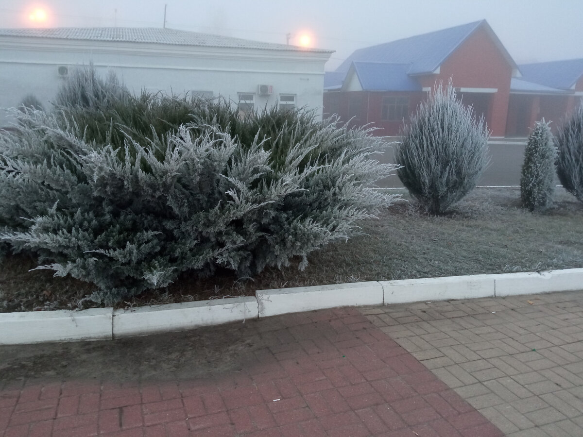 Первые морозы дошли и до нас