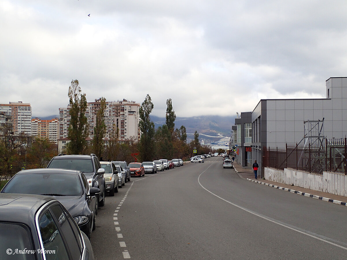 Улица Пионерская, аллея слева