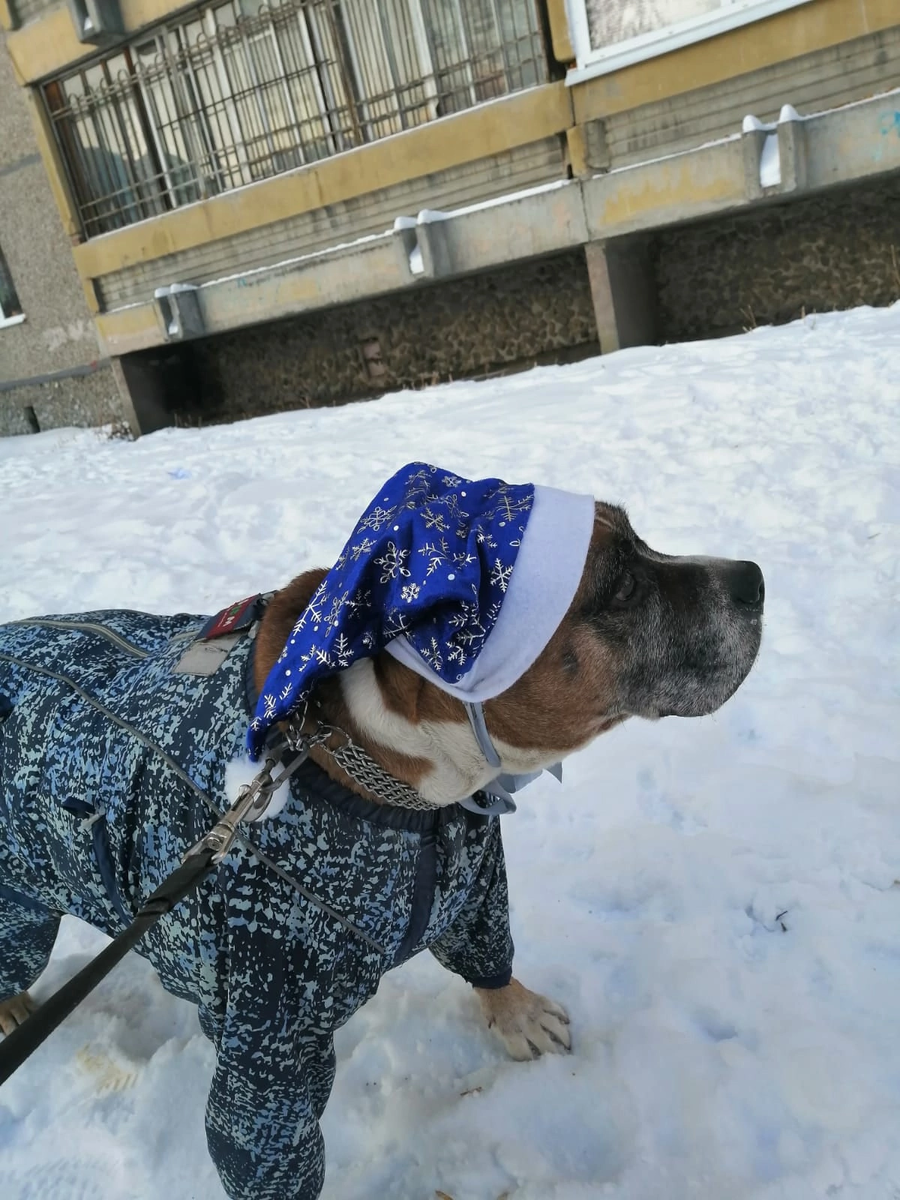 Праздничный Ярик!