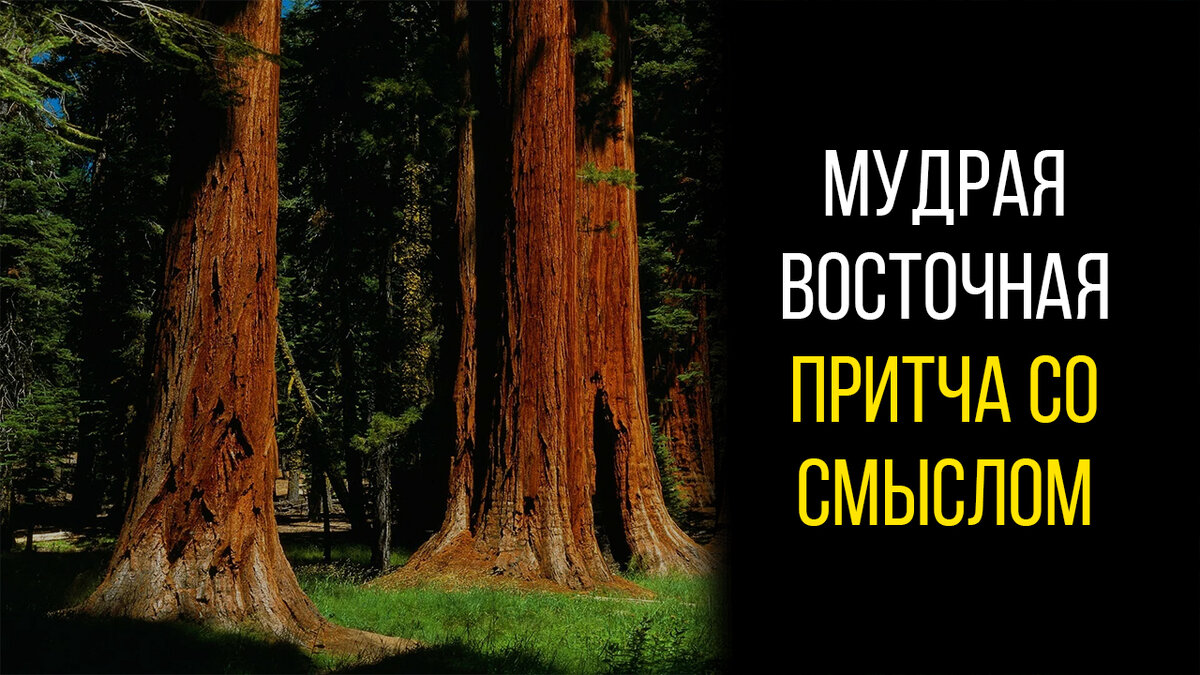 Фото принадлежит каналу Мудрость Души.