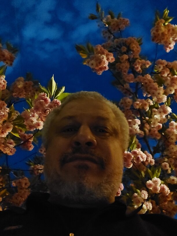 Фото автора публикации на фоне голубого неба и цветущей сакуры.