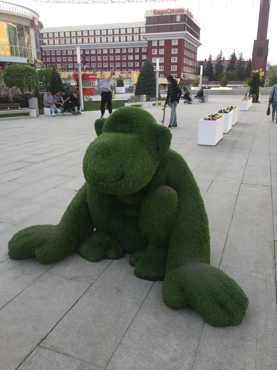 зеленая обезьяна (фото автора)